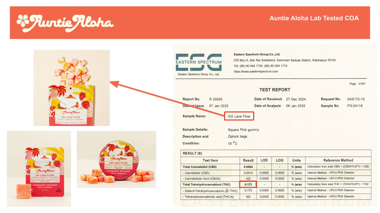 Auntie Aloha Sales Tool Slide 19